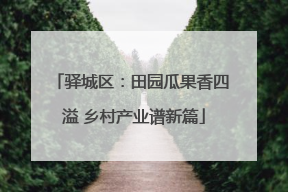 驿城区：田园瓜果香四溢 乡村产业谱新篇