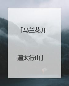 马兰花开遍太行山