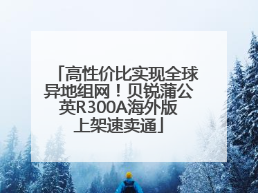 高性价比实现全球异地组网！贝锐蒲公英R300A海外版上架速卖通