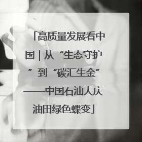 高质量发展看中国｜从“生态守护”到“碳汇生金”——中国石油大庆油田绿色蝶变