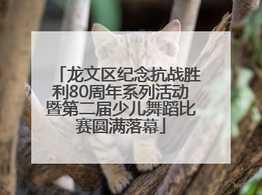 龙文区纪念抗战胜利80周年系列活动暨第二届少儿舞蹈比赛圆满落幕