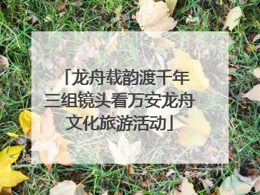 龙舟载韵渡千年 三组镜头看万安龙舟文化旅游活动