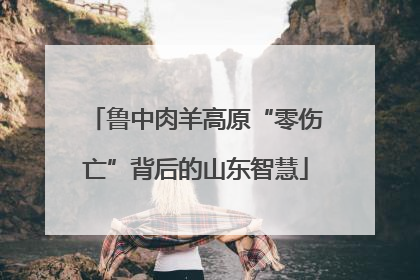 鲁中肉羊高原“零伤亡”背后的山东智慧