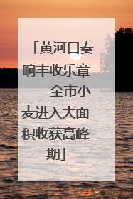 黄河口奏响丰收乐章——全市小麦进入大面积收获高峰期