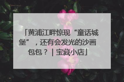 黄浦江畔惊现“童话城堡”，还有会发光的沙画包包？｜宝藏小店
