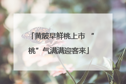 黄陂早鲜桃上市 “桃”气满满迎客来