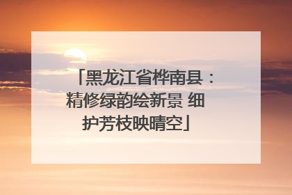 黑龙江省桦南县：精修绿韵绘新景 细护芳枝映晴空