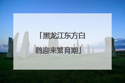 黑龙江东方白鹳迎来繁育期