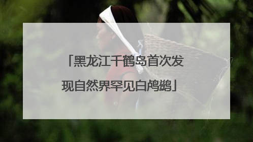 黑龙江千鹤岛首次发现自然界罕见白鸬鹚