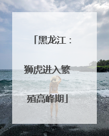 黑龙江：狮虎进入繁殖高峰期
