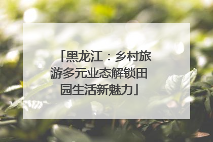 黑龙江：乡村旅游多元业态解锁田园生活新魅力