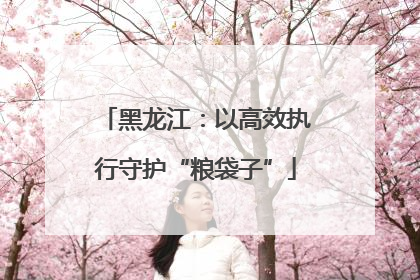 黑龙江：以高效执行守护“粮袋子”