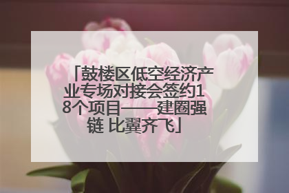 鼓楼区低空经济产业专场对接会签约18个项目——建圈强链 比翼齐飞