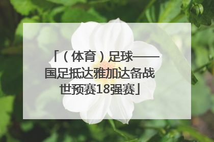 （体育）足球——国足抵达雅加达备战世预赛18强赛