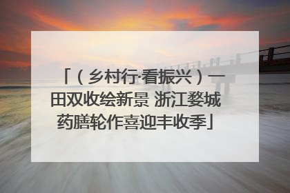 （乡村行·看振兴）一田双收绘新景 浙江婺城药膳轮作喜迎丰收季