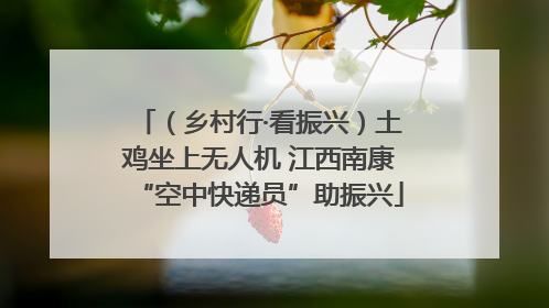 （乡村行·看振兴）土鸡坐上无人机 江西南康“空中快递员”助振兴