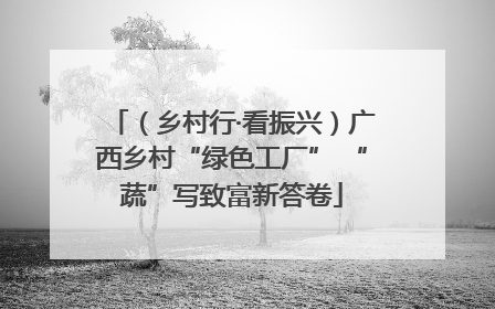 （乡村行·看振兴）广西乡村“绿色工厂” “蔬”写致富新答卷