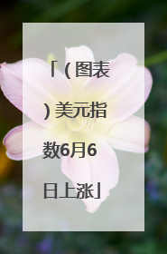 （图表）美元指数6月6日上涨