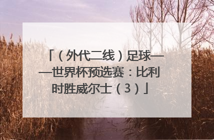 （外代二线）足球——世界杯预选赛：比利时胜威尔士（3）