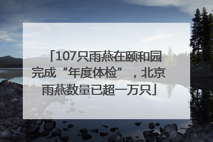 107只雨燕在颐和园完成“年度体检”，北京雨燕数量已超一万只