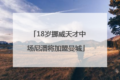 18岁挪威天才中场尼潘将加盟曼城