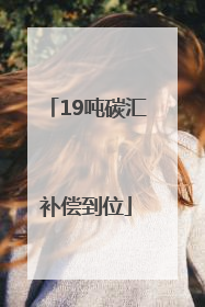 19吨碳汇补偿到位