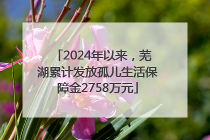 2024年以来，芜湖累计发放孤儿生活保障金2758万元