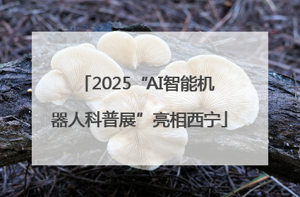 2025“AI智能机器人科普展”亮相西宁