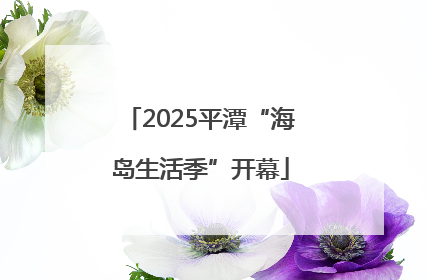 2025平潭“海岛生活季”开幕