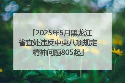 2025年5月黑龙江省查处违反中央八项规定精神问题805起