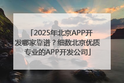 2025年北京APP开发哪家靠谱？细数北京优质专业的APP开发公司
