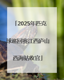 2025年匹克球巡回赛江西庐山西海站收官