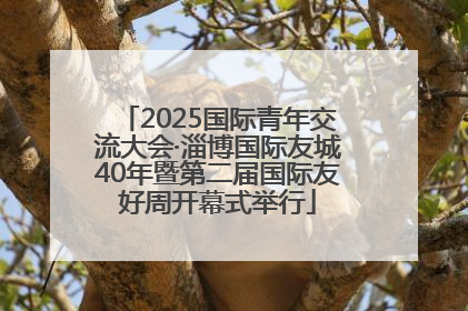 2025国际青年交流大会·淄博国际友城40年暨第二届国际友好周开幕式举行