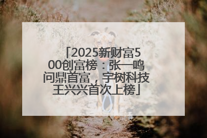 2025新财富500创富榜：张一鸣问鼎首富，宇树科技王兴兴首次上榜