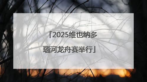 2025维也纳多瑙河龙舟赛举行
