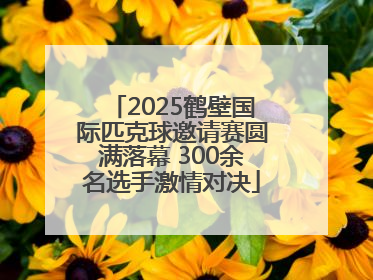 2025鹤壁国际匹克球邀请赛圆满落幕 300余名选手激情对决