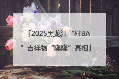 2025黑龙江“村BA”吉祥物“隆隆”亮相