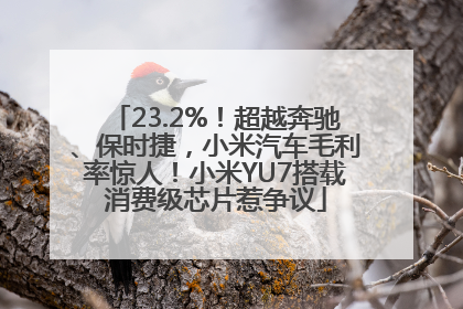 23.2%！超越奔驰、保时捷，小米汽车毛利率惊人！小米YU7搭载消费级芯片惹争议