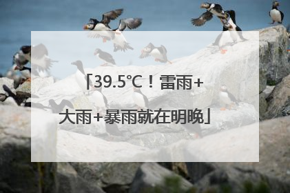 39.5℃！雷雨+大雨+暴雨就在明晚