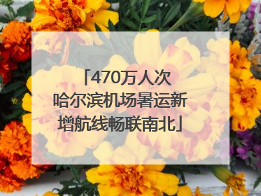 470万人次 哈尔滨机场暑运新增航线畅联南北