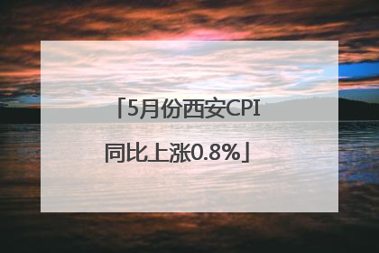 5月份西安CPI同比上涨0.8%