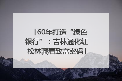 60年打造“绿色银行”：吉林通化红松林藏着致富密码