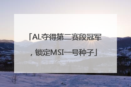 AL夺得第二赛段冠军，锁定MSI一号种子