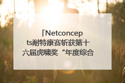 Netconcepts耐特康赛斩获第十六届虎啸奖“年度综合服务商”大奖