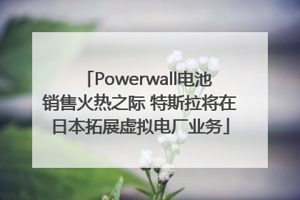 Powerwall电池销售火热之际 特斯拉将在日本拓展虚拟电厂业务