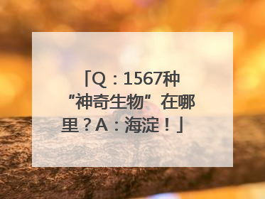 Q：1567种“神奇生物”在哪里？A：海淀！