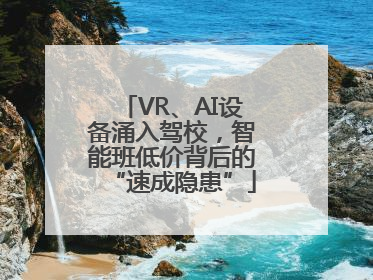 VR、AI设备涌入驾校，智能班低价背后的“速成隐患”